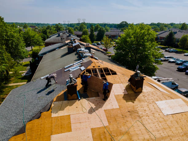 Best Storm Damage Roof Repair  in Deforest, WI